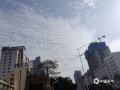中国天气网讯 今天（12月30日）是元旦假期首日，广西南宁出现大面积鱼鳞云。“鱼鳞云”在气象学上叫“透光高积云”，是秋冬季冷空气来时出现的一种天气现象。（图文/郁海蓉）