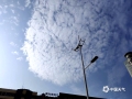 中国天气网讯 今天（12月30日）是元旦假期首日，广西南宁出现大面积鱼鳞云。朵朵白云整齐排列在天空，十分好看。“鱼鳞云”在气象学上叫“透光高积云”，它的出现往往预示着天气将会出现变化。（图文/郁海蓉）