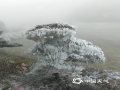 中国天气网讯 受强冷空气影响，1月21日，广西桂林资源县隘门界再现雾凇景观。树上、灌木丛上结满厚厚的雾凇，青松翠柏千姿百态，形成“万物皆入画”的冰雪奇景。（文/谭琼 图/资源气象局）