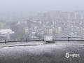 下雪了！2024年1月21日至22日，受冷空气影响，广西天气寒冷，北部部分地区迎来了2024年的第一场雪。图为1月22日，桂林市城区雪花飘飘。（图/彭文婧 文/聂沛彬）
