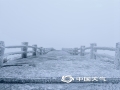 受强冷空气的洗礼后，1月23-24日，广西南宁市大明山出现雾凇景观。（图/柳泽平 文/蔡爵健）
