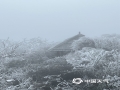 2月24-25日，贺州市多地出现雾凇、雨凇景观。雨凇晶莹剔透，雾凇洁白如雪，恍若置身梦幻的冰雪世界，美不胜收！图为昭平县黄姚镇东潭岭的雾凇景观（文/毛琪 图/林威）