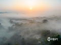 中国天气网讯 5日清晨，广西南宁被云雾笼罩，俯瞰城市在云雾中若隐若现，美得太不真实，仿佛是一座天空之城。（文/黄丽娜 图/曾海科）