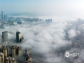 中国天气网讯 5日清晨，广西南宁被云雾笼罩，俯瞰城市在云雾中若隐若现，美得太不真实，仿佛是一座天空之城。（文/黄丽娜 图/曾海科）