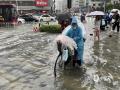 中國天氣網(wǎng)訊 5月18日廣西南寧遭遇大暴雨夜襲，降雨量達到187毫米，小時雨量最大達到77.2毫米，城區(qū)部分路段內(nèi)澇嚴重，19日早晨車輛在積水中行駛?cè)玳_船一般，部分路段交通由于積水過深而中斷。（圖文/黃麗娜）