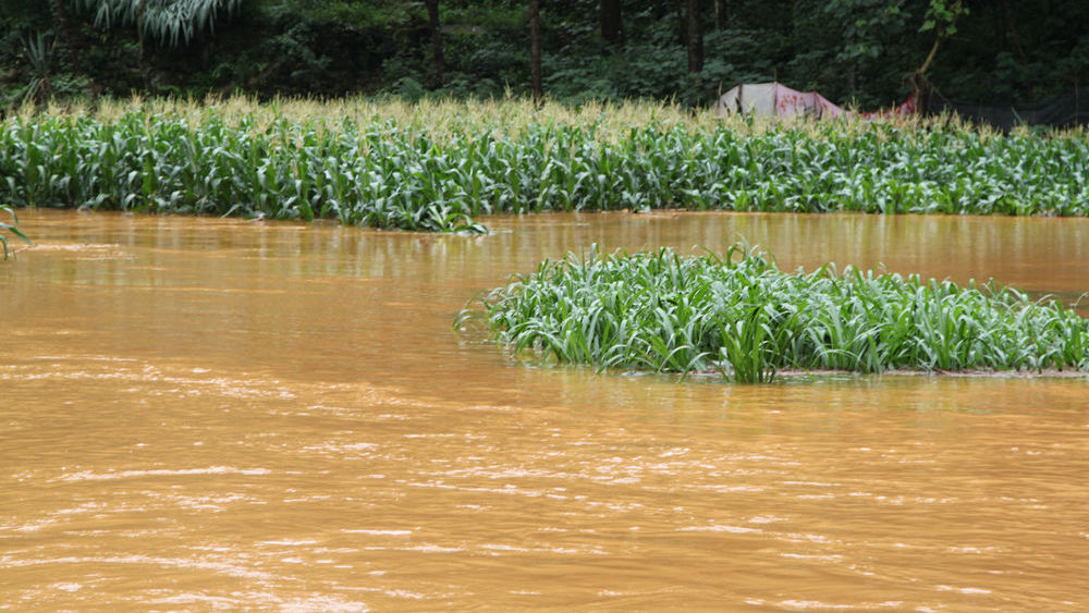 徳保豪雨による被害状況斜面落盤で農地が冠水