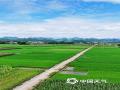 中国天气网广西站讯 6月5日，来宾市忻城县城关镇古尧村雨过天晴，阳光重现，呈现一派夏日的乡村美景。（图/罗利敏 文/苏庆红）