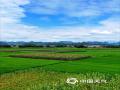 中国天气网广西站讯 6月5日，来宾市忻城县城关镇古尧村雨过天晴，阳光重现，呈现一派夏日的乡村美景。（图/罗利敏 文/苏庆红）