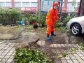 中国天气网广西站讯 9月7日台风“摩羯”携风雨影响钦州、防城港等市，城区内道路旁的树木被大风拦腰折断，断枝落叶遍地，市民在风雨中艰难前行。（文/曹钰佳 何斌 韦樊妮 图/李斌喜 韦樊妮）