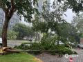 中国天气网广西站讯 9月7日台风“摩羯”携风雨影响钦州、防城港等市，城区内道路旁的树木被大风拦腰折断，断枝落叶遍地，市民在风雨中艰难前行。（文/曹钰佳 何斌 韦樊妮 图/李斌喜 韦樊妮）