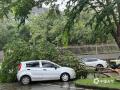 中国天气网广西站讯 9月7日台风“摩羯”携风雨影响钦州、防城港等市，城区内道路旁的树木被大风拦腰折断，断枝落叶遍地，市民在风雨中艰难前行。（文/曹钰佳 何斌 韦樊妮 图/李斌喜 韦樊妮）