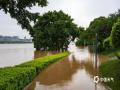 中国天气网讯 受上游来水及区间降雨影响，广西南宁市邕江水位暴涨，两岸的亲水步道、绿化等设施被淹，建议市民游客不要在江边逗留、观水、戏水。图片拍摄于9月11日。（图文/曾海科）