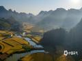 中国天气网讯  近日，广西百色靖西市山区谷地经常出现雾绕群峰的美景。10月7日早晨，在禄峒镇，当朝阳遇上晨雾，光便有了形状，山峦起伏，田野“流金”，共同构成一幅绝美田园画卷。（图文/曾海科）