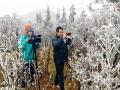 中国天气网广西站讯 受冷空气持续影响，广西北部高寒山区气温不断下降，12月11日夜间至12日凌晨，桂林市全州县天湖自然保护区和柳州市三江县独侗镇红岩山最低气温低至零下，花草树木上出现了雨凇、雾凇等冰雪美景。（图/邓琳 韦菊 黄晓虎 文/赵祖华）