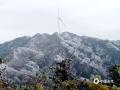 中国天气网讯 1月10日，受冷空气影响，广西百色乐业县逻沙乡草王山迎来2025年第一场雾凇景观，树枝草木银装素裹，宛如一幅幅水墨画卷。（图/罗旺庆 文/郁海蓉  罗旺庆 ）