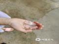 中国天气网广西站讯 4月19日15时左右，受对流云团影响，河池市金城江区城区及周边乡镇电闪雷鸣，六甲镇、六圩镇、城区及东江等地先后下起了冰雹和大雨，期间伴随着大风。突如其来的强对流天气不仅让外出的市民猝不及防，冰雹和大风也导致局地大棚棚顶被砸穿，大树倒塌，造成一定损失。（图文/陈丽娜）