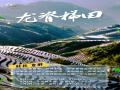 八桂端阳・粽情山水间|端午假期旅游天气