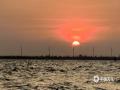 中国天气网广西站讯 6月1日傍晚，在钦州市乌雷村，夕阳西下，天上呈现出了形似金凤凰的霞云，落日的余晖把大海和天空都染成华丽的金色。（图文/苏庆红）