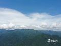 中国天气网广西站讯 6月24日，防城港十万大山顶，云端之上，群山如墨色浪涛翻涌。天光透过云层缝隙洒落，明暗交织间，山河壮阔尽显，仿佛时间在此刻凝固，只剩自然的诗意在天地间流淌。（图文/白玉壮）