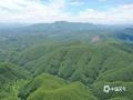 中国天气网广西站讯 6月24日，防城港十万大山顶，云端之上，群山如墨色浪涛翻涌。天光透过云层缝隙洒落，明暗交织间，山河壮阔尽显，仿佛时间在此刻凝固，只剩自然的诗意在天地间流淌。（图文/白玉壮）