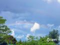中国天气网广西站讯 7月24日，崇左市大新县在一场酣畅淋漓的雨后，天空现梦幻彩虹 ！(图文/黄厦厦）