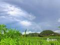 中国天气网广西站讯 7月24日，崇左市大新县在一场酣畅淋漓的雨后，天空现梦幻彩虹 ！(图文/黄厦厦）