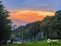 中国天气网广西站讯 7月27日，日落时分，橘红交织的霞光漫过南宁的天际，美不胜收。（图/曾海科 文/周玉）