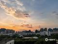 中国天气网广西站讯 9月16日傍晚时分，贺州市的天空披上了一层金色的轻纱，这一刻的晚霞美得让人心醉。（图/杨其镜 欧欣格 唐颖 陈春  文/唐冬晓） ​​​