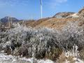 中国天气网广西站讯 受强冷空气影响，18日早晨天湖水库气温低至零下1℃，天湖区域出现大范围雾凇美景。处处银装素裹，进入景区恍若置身冰雪童话世界。（文/赵祖华  图/迅风风电场提供）