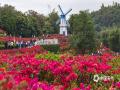 中国天气网广西站讯  11月30日，南宁青秀山叶子花迎来盛花期，漫山遍野都是嫣红、粉紫色的花朵，吸引众多市民游客漫步花丛，打卡拍照。（图/曾海科  文/郁海蓉）