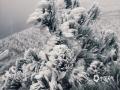中国天气网广西站讯 新年冷空带来降温，1月2日，桂林市兴安县高寒山区最低气温低至零下，摩天岭被雾凇覆盖，瑞雪迎新年，给南国带来不一样的新年礼物。（图/张雅昕 文/文萌）