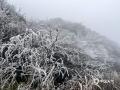 中国天气网广西站讯 受寒潮影响，1月3日桂林全州县高寒山区局地气温跌破零度，天湖生态景区迎来2026年初雾凇奇景。冰花缀青松，山峦尽染晶莹，宛若梦幻冰雪童话。置身其中，宛若闯入不染尘俗的秘境，吸引游人奔赴这场冬日冰雪之约。（文/蒋熙 图/唐丽 蒋熙） ​​​​