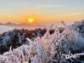 中国天气网讯 1月6日，贺州市姑婆山景区出现雾凇美景，山间的树枝挂满毛茸茸的冰晶，远看像梨花盛放，犹如大自然雕琢的艺术品。（文/唐冬晓 图/林匪、大梁、笑笑）