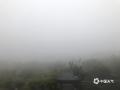 中国天气网讯 1月17日，桂林荔浦出现强浓雾天气，局部能见度不足50米，楼房、公路、汽车、行人几乎完全“隐身”在浓雾中，严重影响当地交通。（图文/汪玲）