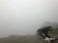中国天气网讯 1月17日，桂林荔浦出现强浓雾天气，局部能见度不足50米，楼房、公路、汽车、行人几乎完全“隐身”在浓雾中，严重影响当地交通。（图文/汪玲）