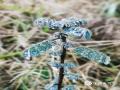 中国天气网讯 受寒潮天气影响，1月20-21日广西气温剧烈下降，多地出现低温雨雪冰冻天气，万物好像一夜之间被冰雪“冻”住。图为河池凤山县长洲镇出现雨凇。（文/黄丽娜 图/刘航）