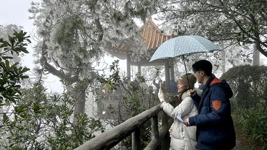 寒潮持续影响广西 多地现雾凇冰挂景观