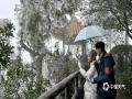 中国天气网广西站讯 在寒潮的持续影响下，1月21日至22日，桂北部分地区和高寒山区多地出现雾凇、雨凇奇观。图为：柳州古亭山出现雨凇。（图/潘思宇）