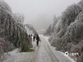 中国天气网广西站讯 在寒潮的持续影响下，1月21日至22日，桂北部分地区和高寒山区多地出现雾凇、雨凇奇观。图为：桂林市资源县隘门界雾凇景观。（图/王乃权）