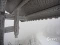 中国天气网广西站讯 在寒潮的持续影响下，1月21日至22日，桂北部分地区和高寒山区多地出现雾凇、雨凇奇观。图为：桂林市资源县隘门界雾凇景观。（图/王乃权）