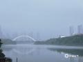 中国天气网广西站讯 5月13日清晨，一场轻雨洒落百色，雾气随之升腾弥漫。东合大桥下的江面之上，水雾如纱似梦、缭绕蔓延，平静的江面倒映着朦胧光影，岸边建筑与大桥轮廓在雨雾中若隐若现，褪去喧嚣，只剩一份静谧悠然的氛围感，随手一拍皆是诗意。（文图/王琛）