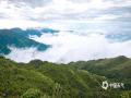 中国天气网广西站讯 6月4日，广西桂林青山连绵铺翠，云海漫涌山谷，碧湖静藏群山之间，构成一幅绝美的风景画。（图/张柳根 文/张馨月）
