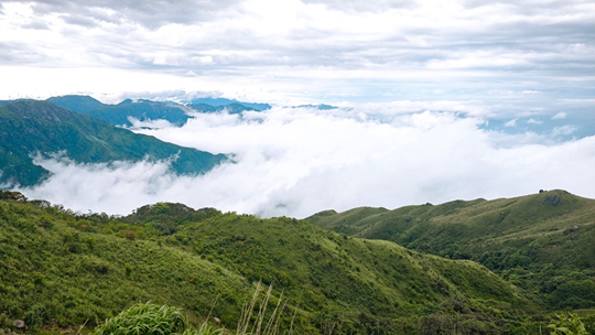 桂林：青山连绵铺翠 云海漫涌山谷