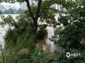 中国天气网广西站讯 6月22日，今年柳江1号洪水洪峰过境柳州市区，16时15分柳江柳州水文站出现85.64米的洪峰水位，超过82.5米的警戒水位3.14米，相应流量19600立方米每秒，目前水位缓慢下降。洪峰过境期间，不少市民前往柳江堤岸高处观洪，用手机、相机记录汛情。在此提醒市民：观洪务必注意安全，切勿靠近临水陡坡、涉足被淹河滩，看护好老人小孩，安全避险。（图文/梁雁玲）