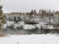 受较强冷空气影响，24日，河北北部坝上围场满族蒙古族自治县，迎来今年下半年以来的第二场降雪。洁白的雪覆盖在广阔的草原之上，银装素裹，天地融为一体，构成画卷般的美丽景致。（图/杜俊岭）