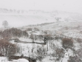 受较强冷空气影响，24日，河北北部坝上围场满族蒙古族自治县，迎来今年下半年以来的第二场降雪。洁白的雪覆盖在广阔的草原之上，银装素裹，天地融为一体，构成画卷般的美丽景致。（图/杜俊岭）