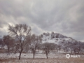 受较强冷空气影响，24日，河北北部坝上围场满族蒙古族自治县，迎来今年下半年以来的第二场降雪。洁白的雪覆盖在广阔的草原之上，银装素裹，天地融为一体，构成画卷般的美丽景致。（图/张育志）