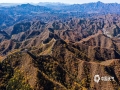 中国天气网讯 每年十月中下旬，位于河北承德滦平县境内的金山岭长城就迎来了秋季最美的时候。此时漫山的红叶与雄伟的长城相映成趣，如诗如画，令人流连忘返。（图/周万平 周广山）