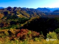 每年十月中下旬，位于河北承德滦平县境内的金山岭长城就迎来了秋季最美的时候。此时漫山的红叶与雄伟的长城相映成趣，如诗如画，令人流连忘返。（图/周万平 周广山）