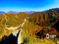 每年十月中下旬，位于河北承德滦平县境内的金山岭长城就迎来了秋季最美的时候。此时漫山的红叶与雄伟的长城相映成趣，如诗如画，令人流连忘返。（图/周万平 周广山）